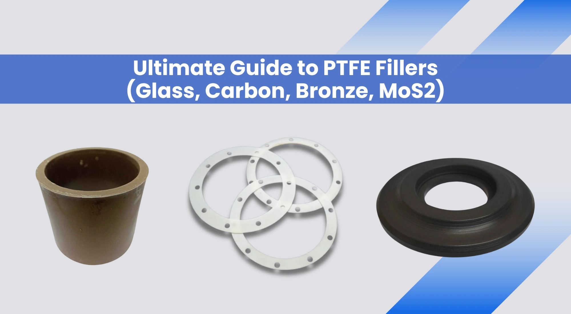 Ultimate Guide to PTFE Fillers (Glass, Carbon, Bronze, MoS2)
