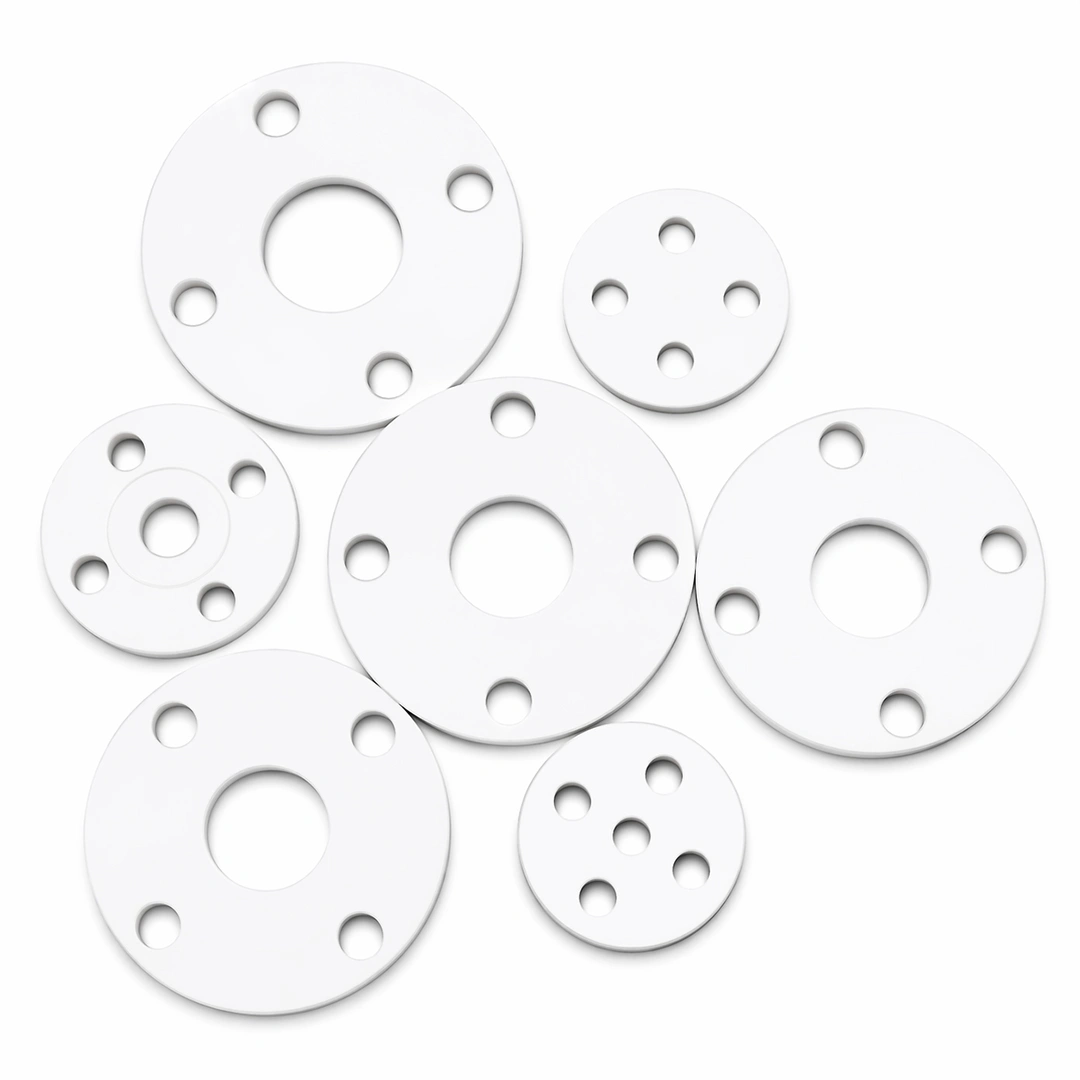 PTFE Gasket 3